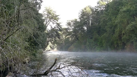 Whitewaters rapids at Caburgua river inside Chilean Patagonia rainforest Stock-Footage 117468101