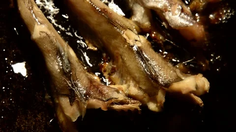 Whiting fish are fried Stock Footage 272312861