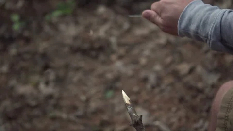 WhittlingStick Stock Footage 120855892