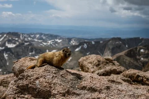 Whiz stands on top of Longs peak in rocky mountain national park in america Stock Photos