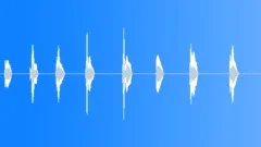 Whizzes 1Sound Effect