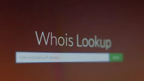 Whois lookup. Shooting the screen in pixel mode Stock Footage 200475533