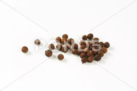 Whole allspice berries Stock Photos