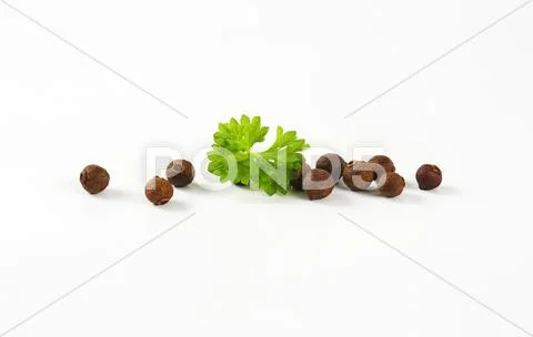 Whole allspice berries Stock Photos