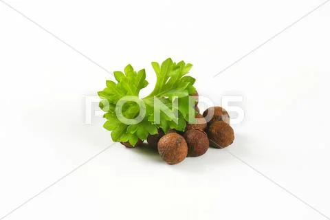 Whole allspice berries Stock Photos
