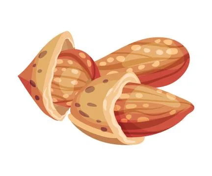 Whole Almond Kernel With Broken Nutshell Vector Illustration. Organic Food Stock Illustration
