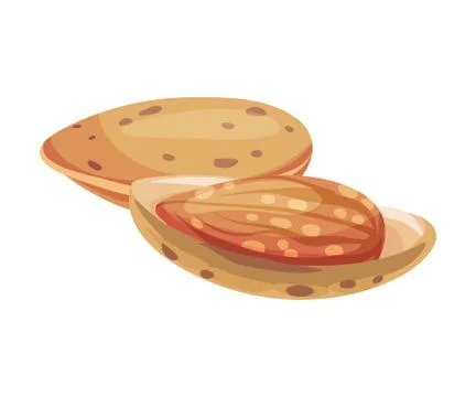 Whole Almond Kernel With Broken Nutshell Vector Illustration. Organic Food Stock Illustration