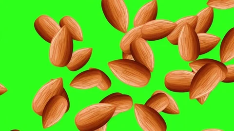 Whole Almonds Falling and Rotating Against a Green Screen Background Stock Footage 346569255