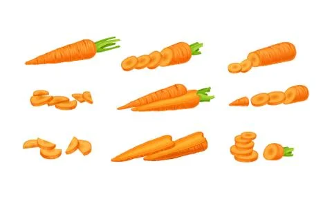 Set various whole and chopped vegetables Vector Image