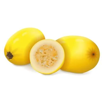 Whole and chopped Orangetti Spaghetti Squash. Stock Illustration