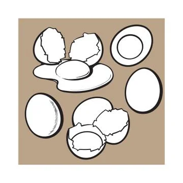 Whole and cracked, broken shell chicken egg composition Illustrazione stock