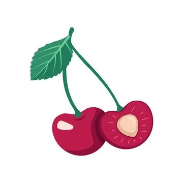 Whole and half with bone cherry on branch Illustrazione stock