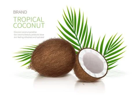 Whole and half broken coco nut Stock Illustration