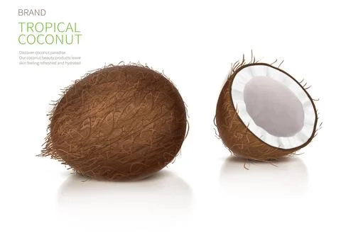 Whole and half broken coco nut Stock Illustration