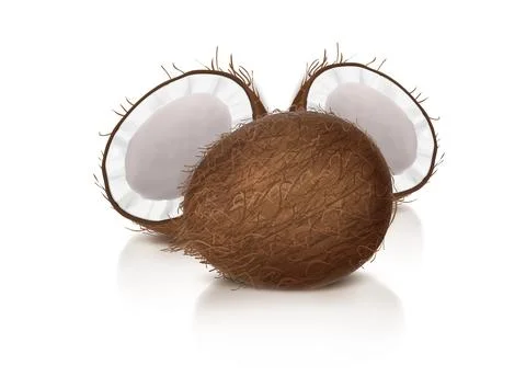 Whole and half broken coco nut Stock Illustration