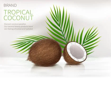 Whole and half broken coco nut Stock Illustration