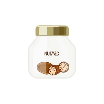 Whole and half nutmeg inside Glass container for spices with cover. Spice can Stock Illustration