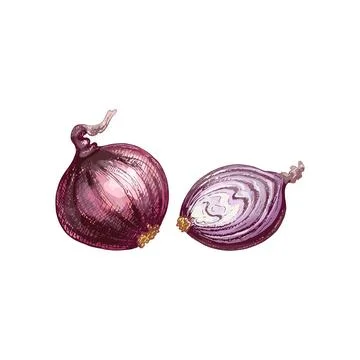 Whole and half onion. Vector vintage engraving and flat illustration Stock Illustration
