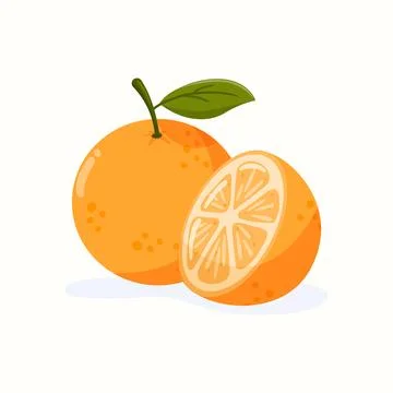Whole and half orange fruit vector illustration Stock Illustration