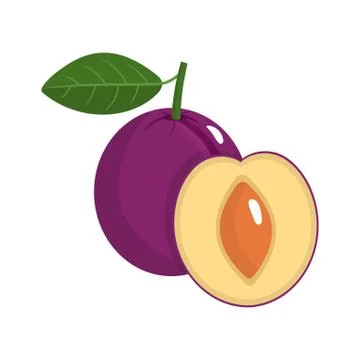 Whole and half plum with stem and leaf isolated on white background. Vector. Stock Illustration