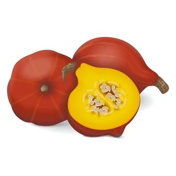 Whole and half of Red Kuri squash. 스톡 일러스트