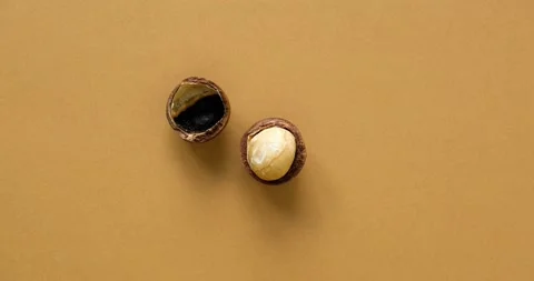 Whole and open macadamia nut on a brown solid background Stock Footage 213267915