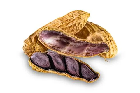 The whole and opened shell peanut or groundnut isolated on white background. Stock Photos