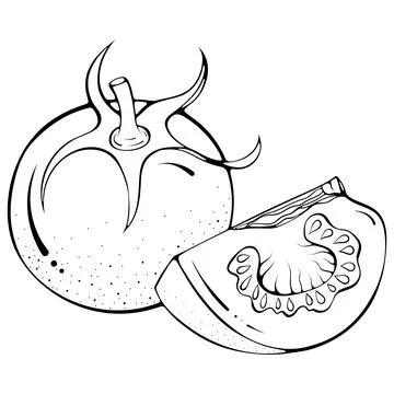 Whole and quarter tomatoes line art Stock Illustration
