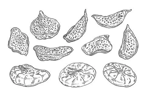 Whole and slice dry fig. Vector black vintage engraving イラスト素材