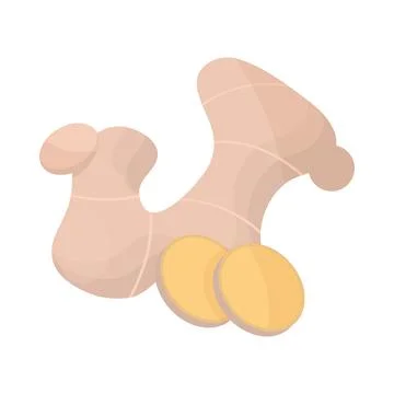Whole and slice ginger Stock Illustration