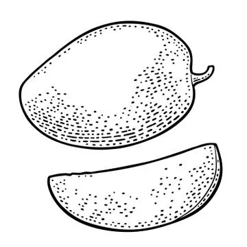 Whole and slice mango. Vector black vintage Ilustración de archivo