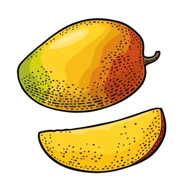 Whole and slice mango. Vector color vintage Ilustración de archivo
