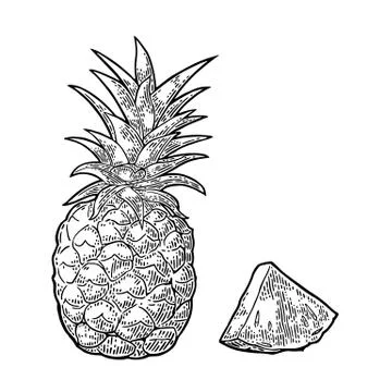 Whole and slice pineapple. Vector black vintage engraving Stock Illustration