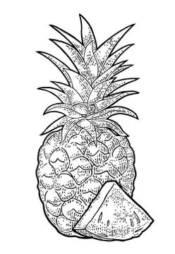 Whole and slice pineapple. Vector black vintage engraving Stock Illustration