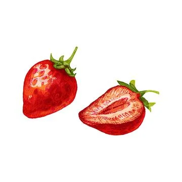 Whole and slice strawberry. Vector color flat illustration Stock Illustration