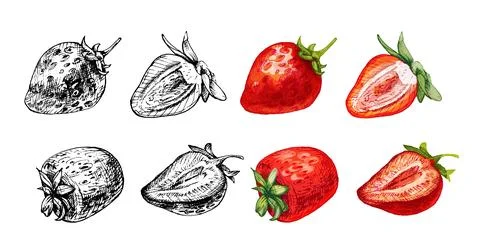 Whole and slice strawberry. Vector color flat illustration Stock Illustration