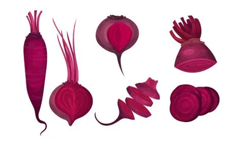 Whole and Sliced Beet Root Isolated on White Background Vector Set 스톡 일러스트