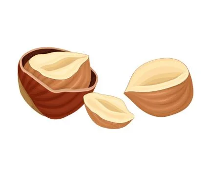 Whole and Split Hazelnut Isolated on White Background Stock Illustration
