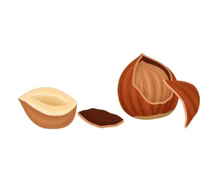 Whole and Split Hazelnut Isolated on White Background Stockillustratie