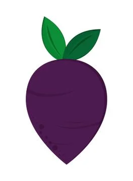 Whole beet icon Stock Illustration