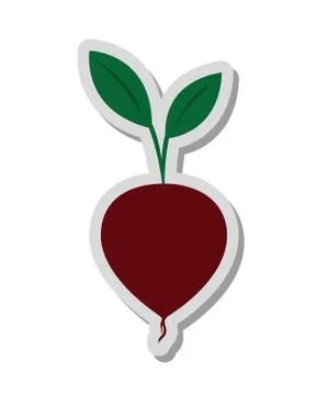 Whole beet icon Stock Illustration