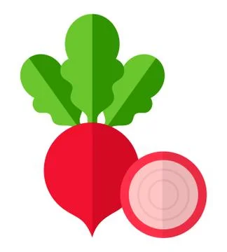 Whole beet with slice of beet vector icon flat isolated 스톡 일러스트
