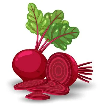 Whole beetroot and sliced on white background Stock Illustration
