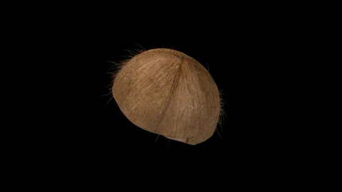Whole Brown Coconut on Black Background 3D Animation Stock Footage 344309331