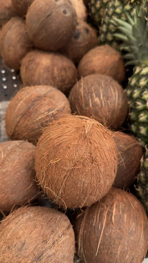 Whole Brown Coconuts Stacked Beside Pineapples in Grocery Bin Stock Footage 337983536