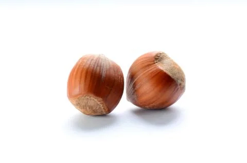 Whole brown hazelnuts Stock Photos