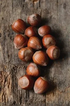 Whole brown hazelnuts Stock Photos
