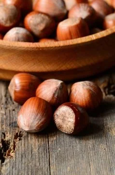 Whole brown hazelnuts Stock Photos