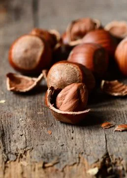 Whole brown hazelnuts Foto stock