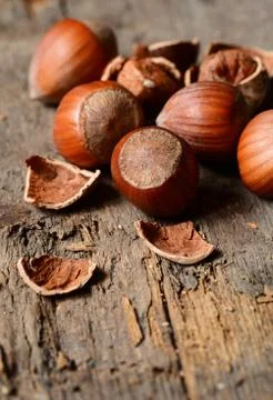 Whole brown hazelnuts Stock Photos